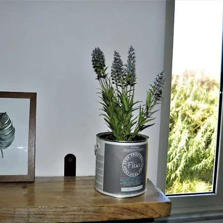 Guest Art Trastevere Station With Ac Bed & Breakfast 4*